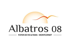 Albatros 08